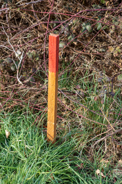 istock Wood survey stake painted in red for work on construction site 1419846204
