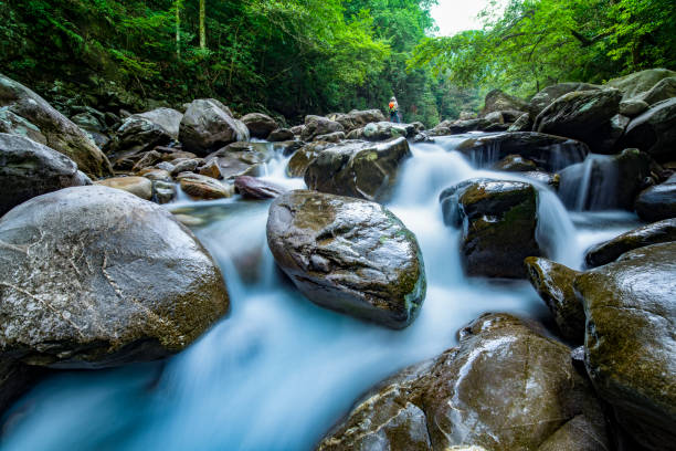 istock Stream in the forest, Jing'an, China 1419846521