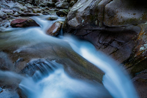 Stream in the forest, Jing'an, China