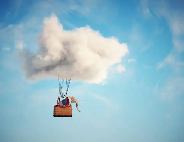 Elephant flying with hot air balloon . This is a 3d render illustration
