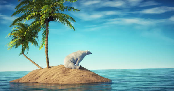 istock Polar bear relaxing on a tropical beach. T 1419847954