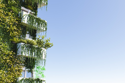 Apartment building covered with plants