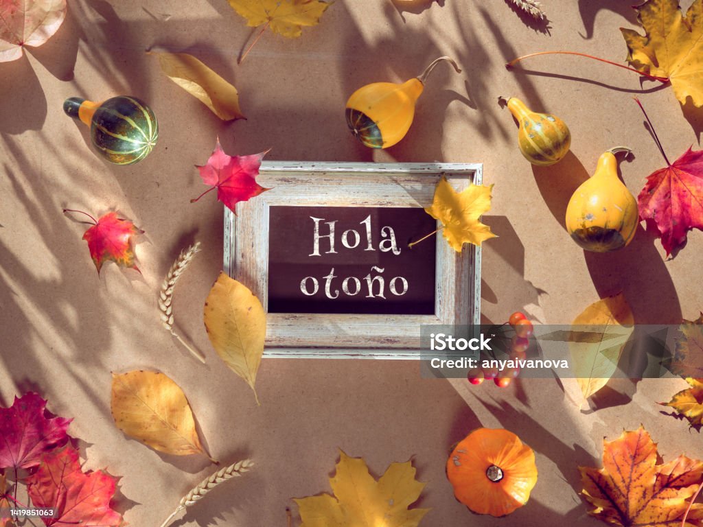 Autumn frame, caption greeting text Hola otono means Hello Autumn in Spanish language. Natural Fall leaves, wheat ears. Autumn frame, caption greeting text Hola otono means Hello Autumn in Spanish language. Natural Fall leaves, wheat ears and pampas grass. Natural terracotta, beige, yellow and red color shades. Flat lay, top view Above Stock Photo