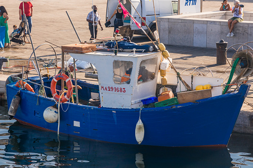 Fishermen at work: fish trachurus just landed at harbor