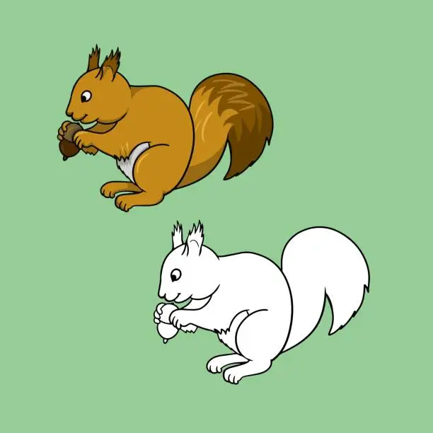 Vector illustration of A set of pictures, A bright fluffy squirrel sitting and gnawing a nut, vector cartoon