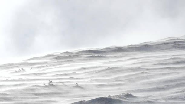 istock A mountain slope covered with a layer of snow during a blizzard. 1419857536