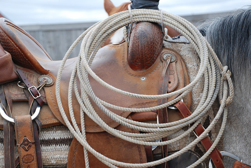 A lariat hung on a saddle