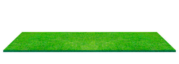 green grass field isolated on white background for sports background background for landscape, park, and outdoor. with clipping path - soccer soccer field grass artificial turf imagens e fotografias de stock