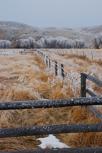 Hoar frost on a fence leading through a pasture