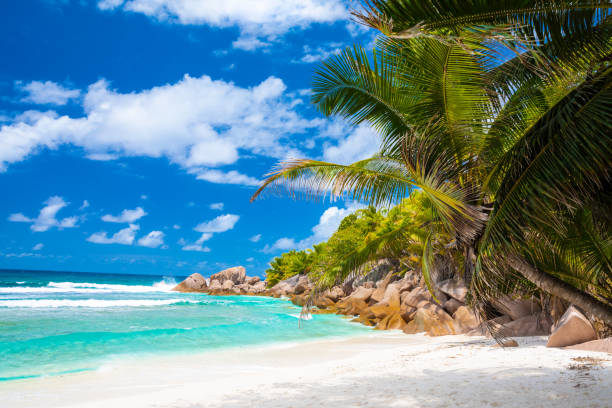 Anse Cocos - one of the most beautiful beach of Seychelles. La Digue Island, Seychelles Anse Cocos - one of the most beautiful beach of Seychelles. La Digue Island, Seychelles. High quality photo praslin island stock pictures, royalty-free photos & images