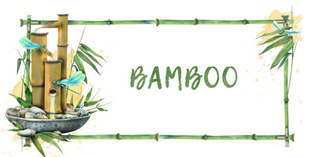 ilustrações, clipart, desenhos animados e ícones de quadro horizontal feito de caules de bambu com folhas e composições com fonte de bambu. ilustração de aquarela. para inscrição e design de convites, certificados, menu de salões de spa. - bamboo fountain illustrations