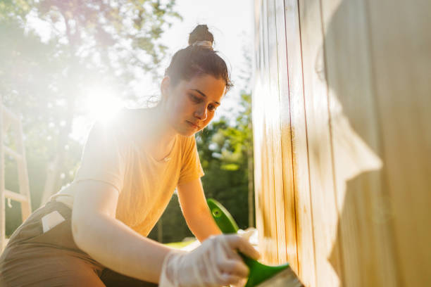 istock Painting a garden house 1419868126