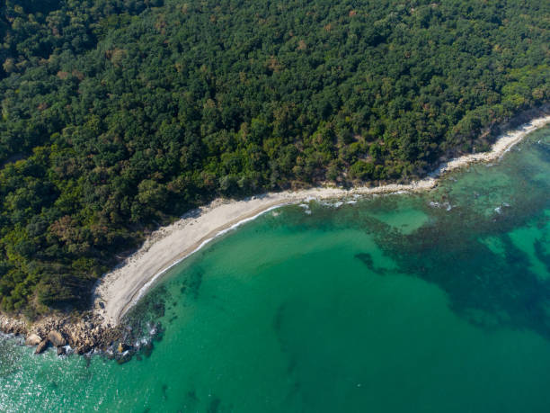 istock Aerial view of a beautiful beach with a forest and rocks. 1419873069