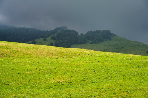 Summer landscape in Lessinia near Campofontana, Verona province, Veneto, Italy