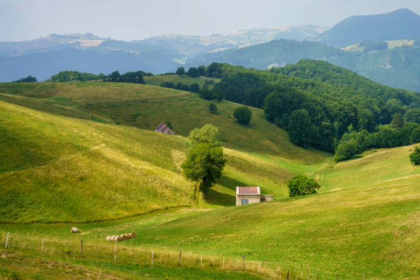 istock Landscape in Lessinia near Campofontana 1419875050