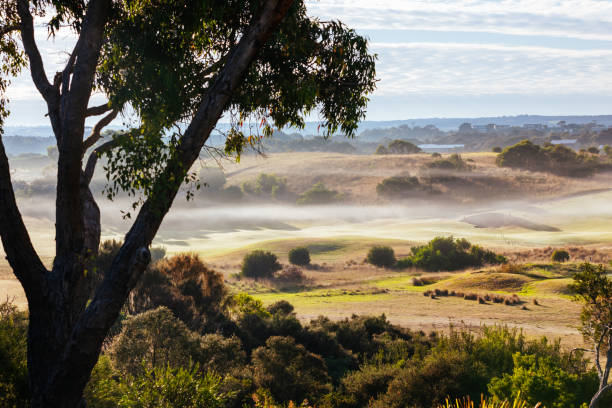 mornington peninsula golf course en australie - golf nobody flag dew photos et images de collection