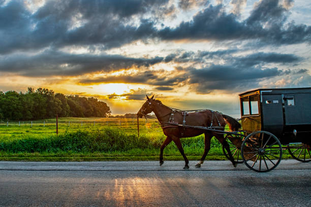 istock Amish Buggy on Rural Road at Sunrise 1419875393
