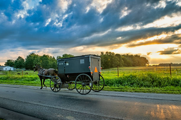 istock Amish Buggy at Daybreak on Rural Road 1419875421