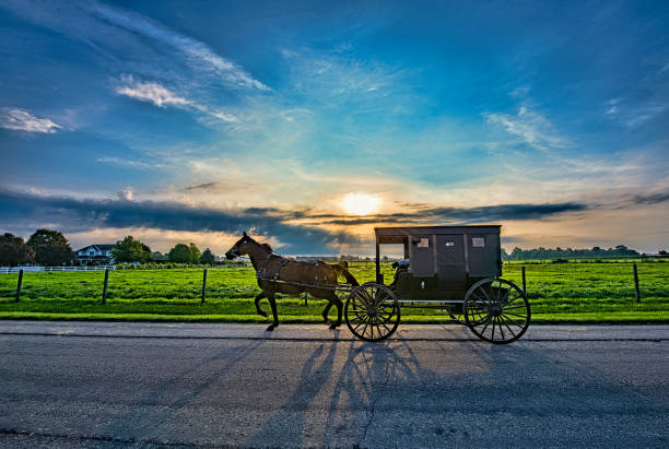 istock Amish Buggy on Rural Road at Sunrise 1419875449