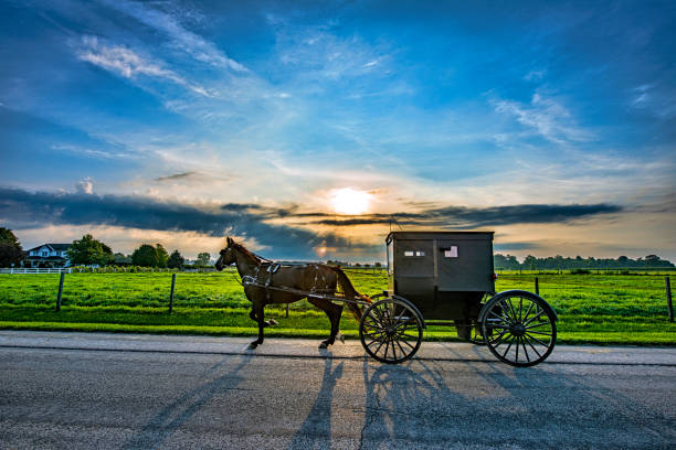 istock Amish Buggy at Sunrise with Shadows on the pavement 1419875454