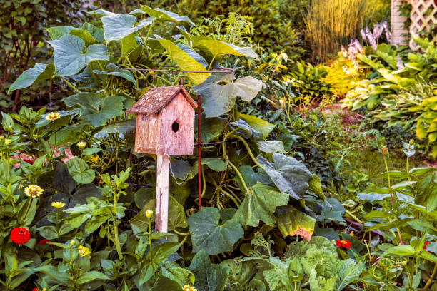 Birdhouse in overgrown garden