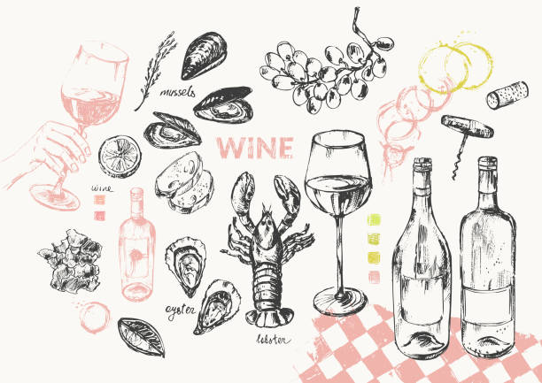 hand drawn wine illustration set. - fransız mutfağı stock illustrations