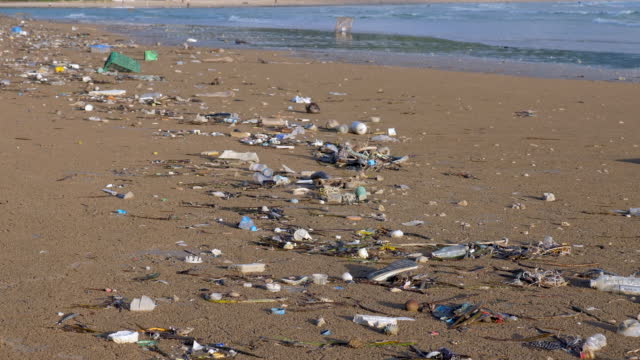 https://media.istockphoto.com/id/1419879657/video/plastic-pollution-and-another-kind-of-trash-on-the-ocean-beach-plastic-rubbish-pollution-in.jpg?s=640x640&k=20&c=JDDs9zCu7KL4VOto3CJSB9UF69ywjQgWWWqno7_Dxss=