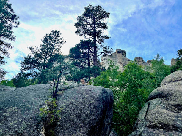 abraham lincoln sculpture, mount rushmore national monument, south dakota (usa) - mt rushmore national monument south dakota president day imagens e fotografias de stock