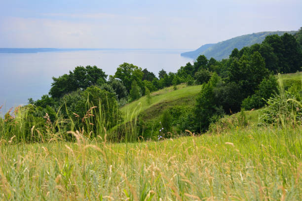 istock green gentle rolling hills with forest line and river on background 1419882700