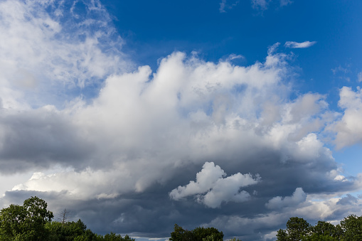 Fragment of the sky partly covered with cumulus and storm clouds over the tree tops