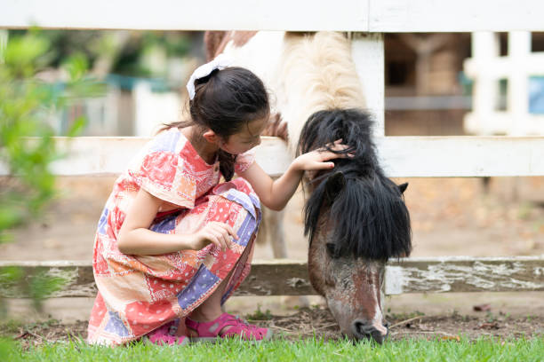 istock girl who loves a pony 1419885377