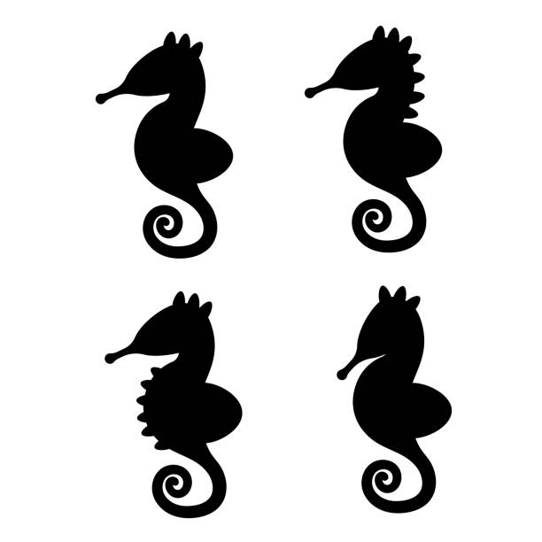 Tribal Seahorse Tattoo Drawing Illustrations, Royalty-Free Vector Graphics  & Clip Art - iStock