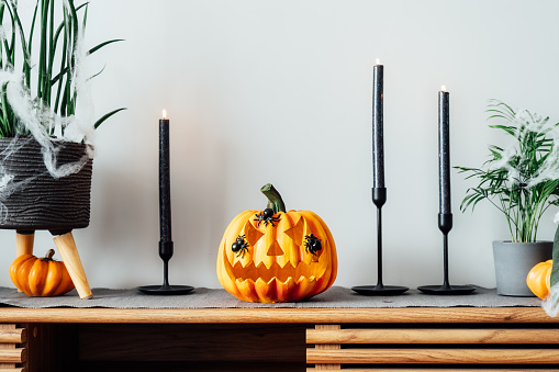 Halloween pumpkin Jack-o-lantern with spiders on it, black candles and decorated home plants standing on modern wooden cabinet. Seasonal living room interior. holidays, decoration and party concept.