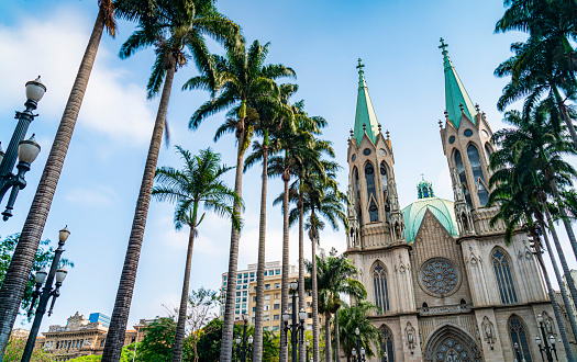 Facade of the cathedral  building and the palm trees of  located in the middle of Sao Paulo in a sunny day