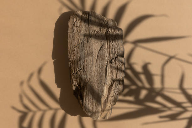 istock Abstract minimal tree bark scene. Natural wooden podium on a beige background with a shadow of palm leaves. Concept natural cosmetics with organic components. Showcase, display case. Top view 1419905916