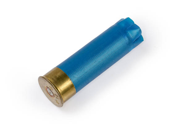 Spent shotgun shell 12 gauge with brass base and blue plastic hull on a white background