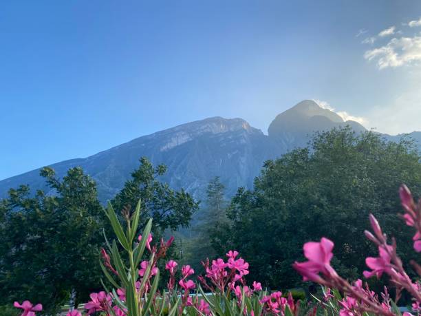 der berg huasteca - nuevo leon stock-fotos und bilder