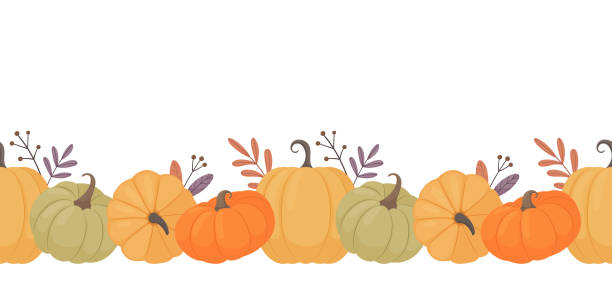 Pumpkin seamless border. A variety of colorful pumpkins and autumn leaves on a white background. Vector illustration for the design of autumn holidays pumpkin stock illustrations