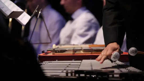 Photo of Close up of the musician playing on xylophone. Xylophone, music and chromatic instrument concept - closeup on wooden bars with four mallets in human hands, performer in black dress, glockenspiel, orchestra concert, art of music