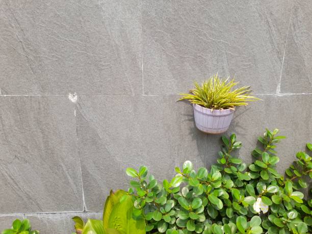 istock small plant pots during the day 1419920593