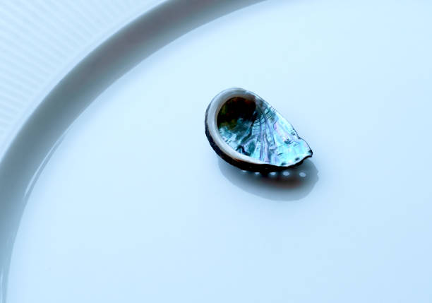 istock mother-of-pearl shell on the white background 1419920824