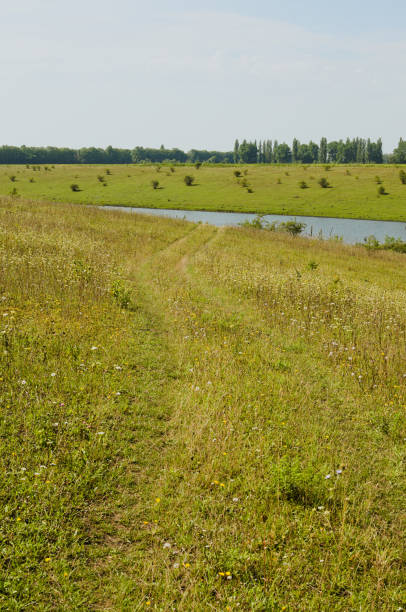 sonnige sommerlandschaft mit grünen hügeln mit bäumen und teich im hintergrund. ländliche szene. naturkonzept. grüne wiesen mit weg zum see. himmel und wolken hintergrund - standing water grass area meadow lawn stock-fotos und bilder