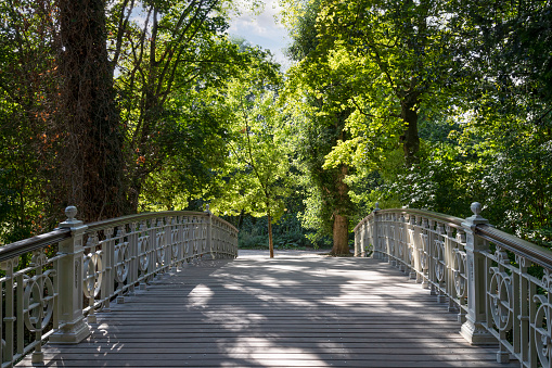 Monumental wrought iron fixed bridge with a deck of wooden planks in the Vondelpark in Amsterdam.