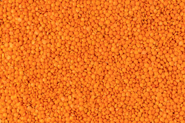 Red lentils. stock photo
