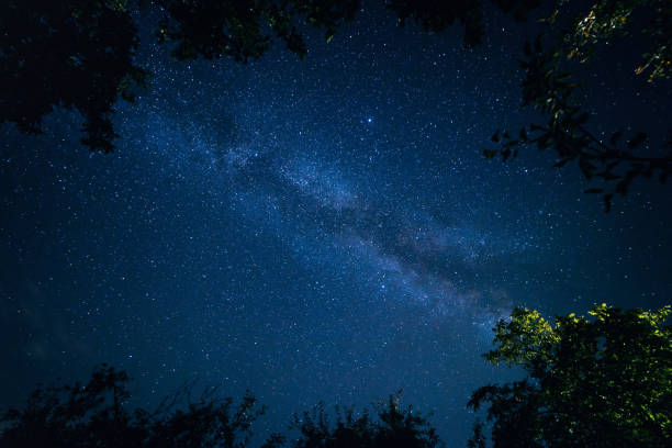 istock Milky Way at night sky over  trees on foreground 1419926512
