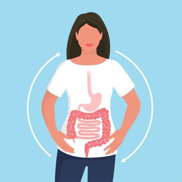 Vector illustration of Happy woman with balanced gut flora