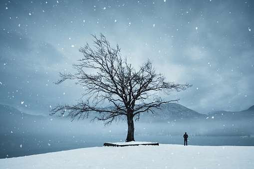 sunrise with a lone tree on a hillside in winter with snow and colorful clouds in Pennsylvania