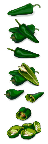 Set of poblano peppers. Whole, half, sliced, and wedges of peppers. Chili peppers. Ancho. Chile ancho. Capsicum annuum. Vegetables. Cartoon style. Vector illustration isolated on white background. Set of poblano peppers. Whole, half, sliced, and wedges of peppers. Chili peppers. Ancho. Chile ancho. Capsicum annuum. Vegetables. Cartoon style. Vector illustration isolated on white background. ancho stock illustrations