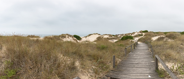 Panoramic view of protected wild dunes at Torreira beach, wooden pedestrian walkways crossing the dunes, at Torreira beach, Aveiro, Portugal...