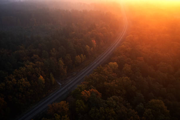 istock Railway autumn forest dawn view from a height 1419932357